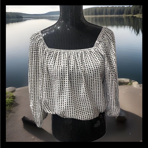 NWT Lucy Paris Off The Shoulder Top Blouse Pleated Balloon Sleeves Size XS - Picture 2 of 15